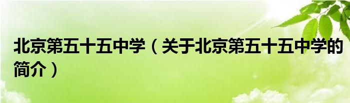 北京第五十五中學(xué)（關(guān)于北京第五十五中學(xué)的簡介）
