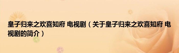 皇子歸來之歡喜知府 電視?。P(guān)于皇子歸來之歡喜知府 電視劇的簡介）