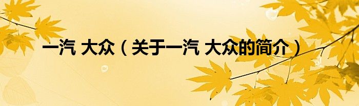 一汽 大眾（關(guān)于一汽 大眾的簡(jiǎn)介）
