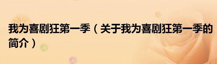 我為喜劇狂第一季（關(guān)于我為喜劇狂第一季的簡介）