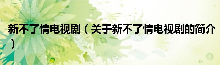 新不了情電視?。P(guān)于新不了情電視劇的簡介）