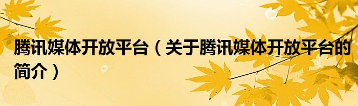 騰訊媒體開放平臺(tái)（關(guān)于騰訊媒體開放平臺(tái)的簡介）