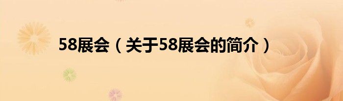 58展會（關(guān)于58展會的簡介）
