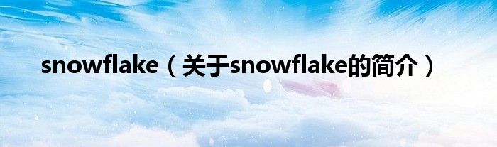 snowflake（關于snowflake的簡介）