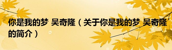 你是我的夢 吳奇?。P(guān)于你是我的夢 吳奇隆的簡介）