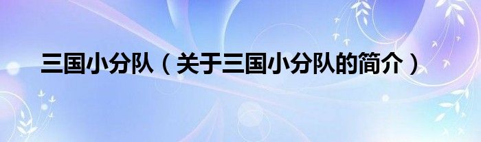 三國小分隊（關(guān)于三國小分隊的簡介）