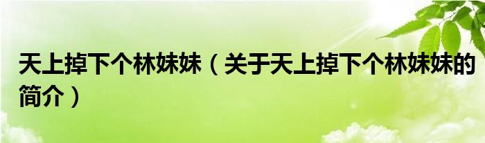 天上掉下個林妹妹（關(guān)于天上掉下個林妹妹的簡介）