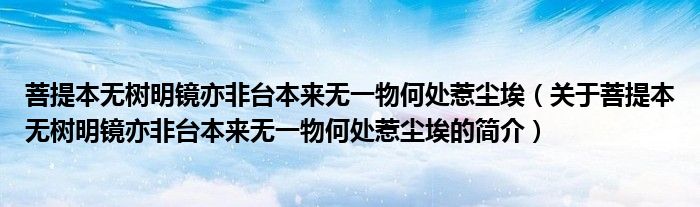 菩提本無樹明鏡亦非臺本來無一物何處惹塵埃（關(guān)于菩提本無樹明鏡亦非臺本來無一物何處惹塵埃的簡介）