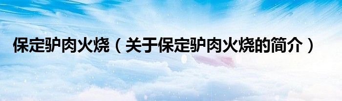 保定驢肉火燒（關于保定驢肉火燒的簡介）
