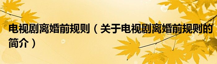 電視劇離婚前規(guī)則（關于電視劇離婚前規(guī)則的簡介）
