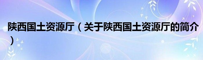 陜西國土資源廳（關于陜西國土資源廳的簡介）