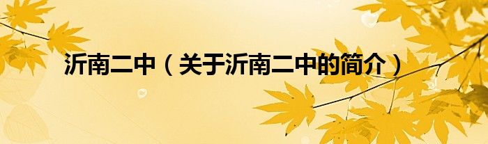 沂南二中（關于沂南二中的簡介）
