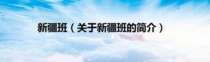 新疆班（關于新疆班的簡介）
