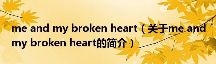 me and my broken heart（關(guān)于me and my broken heart的簡(jiǎn)介）