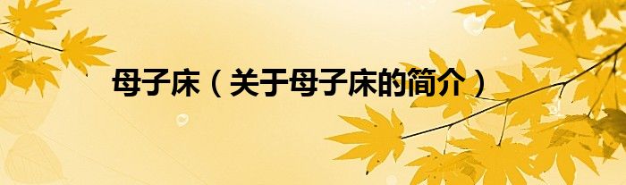 母子床（關(guān)于母子床的簡(jiǎn)介）