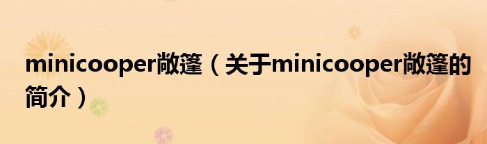 minicooper敞篷（關于minicooper敞篷的簡介）