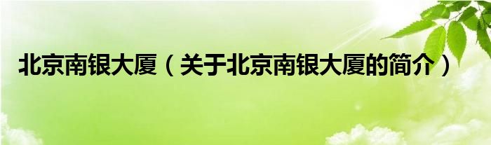 北京南銀大廈（關于北京南銀大廈的簡介）