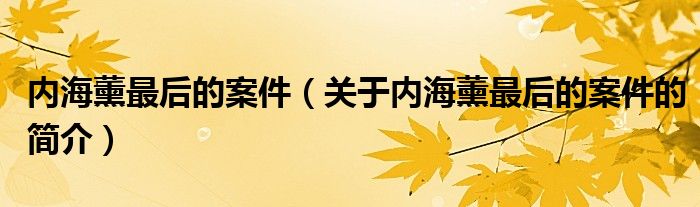 內(nèi)海薰最后的案件（關(guān)于內(nèi)海薰最后的案件的簡(jiǎn)介）