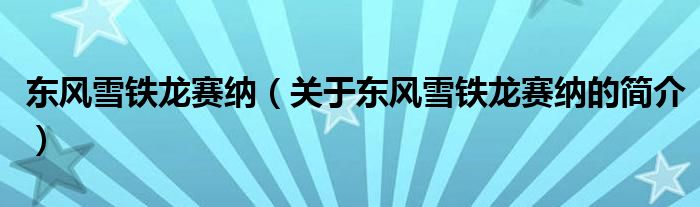 東風(fēng)雪鐵龍賽納（關(guān)于東風(fēng)雪鐵龍賽納的簡介）