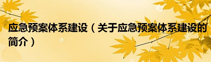 應(yīng)急預(yù)案體系建設(shè)（關(guān)于應(yīng)急預(yù)案體系建設(shè)的簡(jiǎn)介）