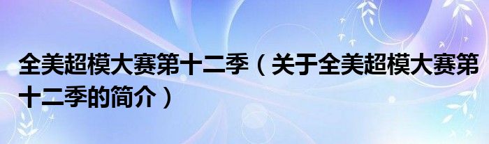 全美超模大賽第十二季（關(guān)于全美超模大賽第十二季的簡(jiǎn)介）