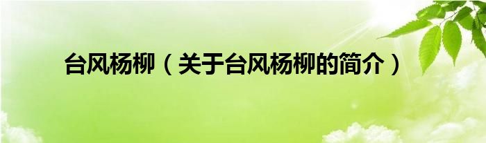 臺(tái)風(fēng)楊柳（關(guān)于臺(tái)風(fēng)楊柳的簡介）