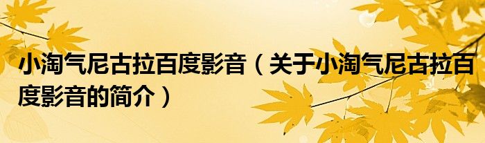 小淘氣尼古拉百度影音（關(guān)于小淘氣尼古拉百度影音的簡介）