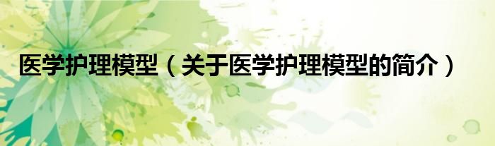醫(yī)學護理模型（關(guān)于醫(yī)學護理模型的簡介）