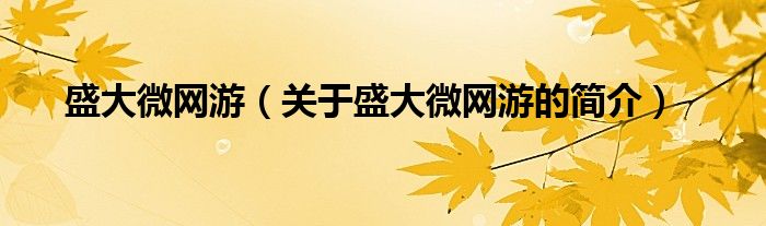 盛大微網(wǎng)游（關于盛大微網(wǎng)游的簡介）