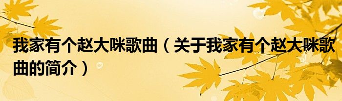 我家有個趙大咪歌曲（關于我家有個趙大咪歌曲的簡介）