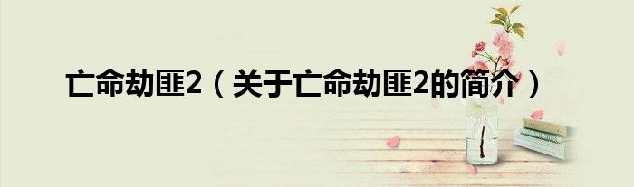 亡命劫匪2（關于亡命劫匪2的簡介）