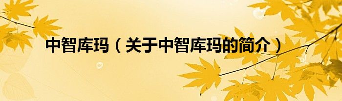 中智庫瑪（關于中智庫瑪的簡介）