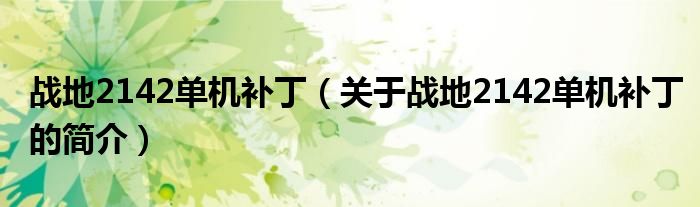 戰(zhàn)地2142單機(jī)補(bǔ)?。P(guān)于戰(zhàn)地2142單機(jī)補(bǔ)丁的簡(jiǎn)介）