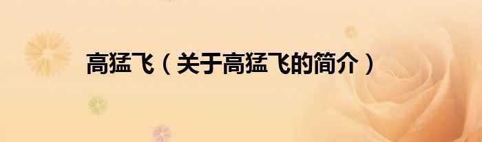 高猛飛（關(guān)于高猛飛的簡(jiǎn)介）