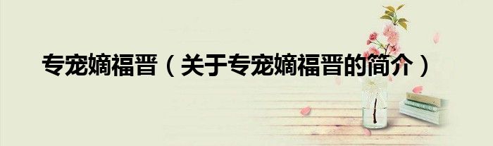 專寵嫡福晉（關(guān)于專寵嫡福晉的簡(jiǎn)介）