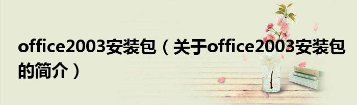 office2003安裝包（關于office2003安裝包的簡介）