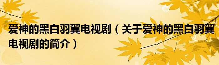 愛神的黑白羽翼電視?。P(guān)于愛神的黑白羽翼電視劇的簡介）