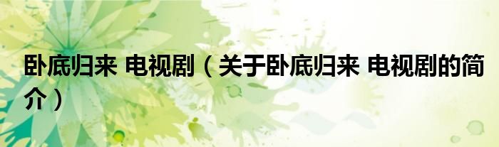 臥底歸來(lái) 電視?。P(guān)于臥底歸來(lái) 電視劇的簡(jiǎn)介）