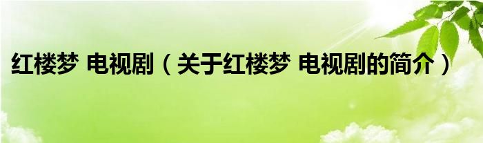 紅樓夢(mèng) 電視劇（關(guān)于紅樓夢(mèng) 電視劇的簡(jiǎn)介）