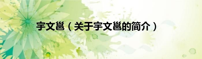 宇文邕（關(guān)于宇文邕的簡(jiǎn)介）