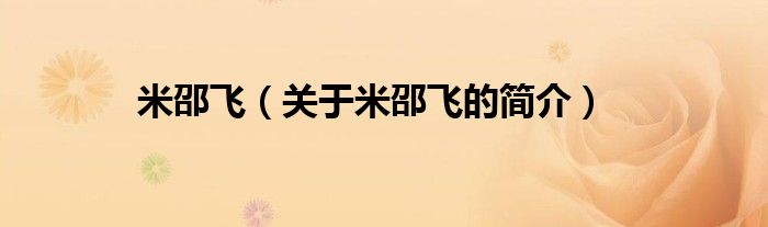 米邵飛（關(guān)于米邵飛的簡介）