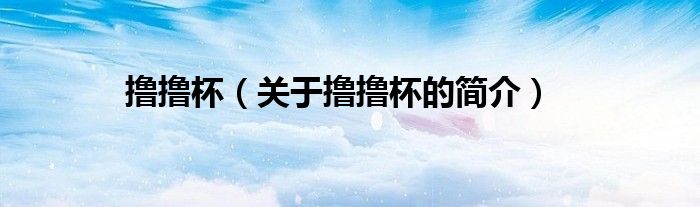 擼擼杯（關(guān)于擼擼杯的簡介）
