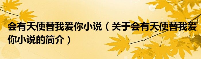 會(huì)有天使替我愛你小說（關(guān)于會(huì)有天使替我愛你小說的簡(jiǎn)介）