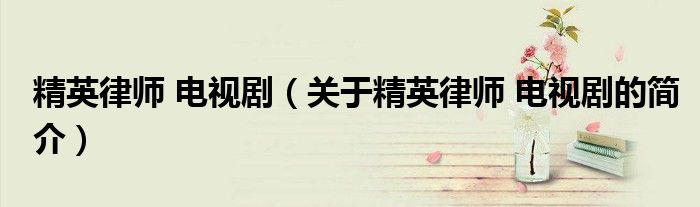 精英律師 電視?。P(guān)于精英律師 電視劇的簡(jiǎn)介）