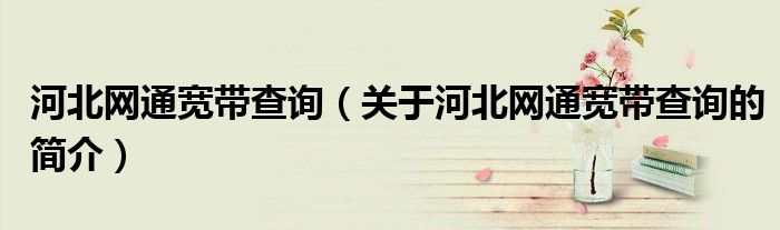 河北網通寬帶查詢（關于河北網通寬帶查詢的簡介）