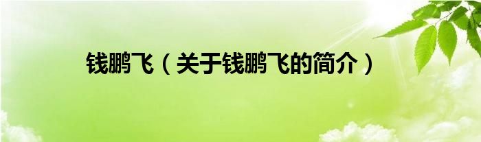 錢鵬飛（關(guān)于錢鵬飛的簡介）