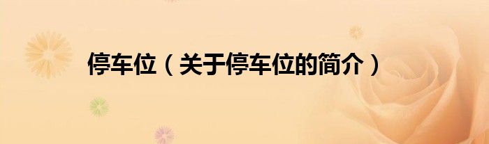 停車位（關于停車位的簡介）
