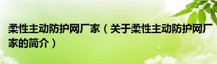 柔性主動防護(hù)網(wǎng)廠家（關(guān)于柔性主動防護(hù)網(wǎng)廠家的簡介）