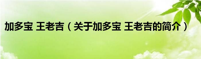 加多寶 王老吉（關于加多寶 王老吉的簡介）
