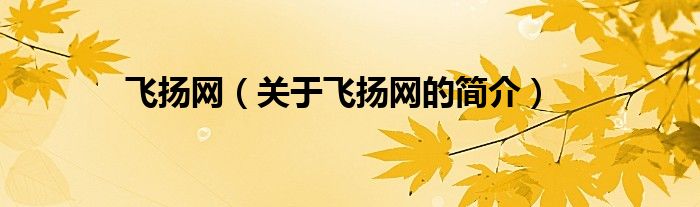飛揚網(wǎng)（關于飛揚網(wǎng)的簡介）